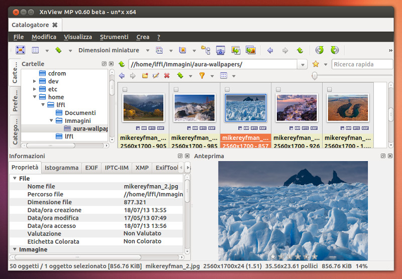 instal XnViewMP 1.5.0 free